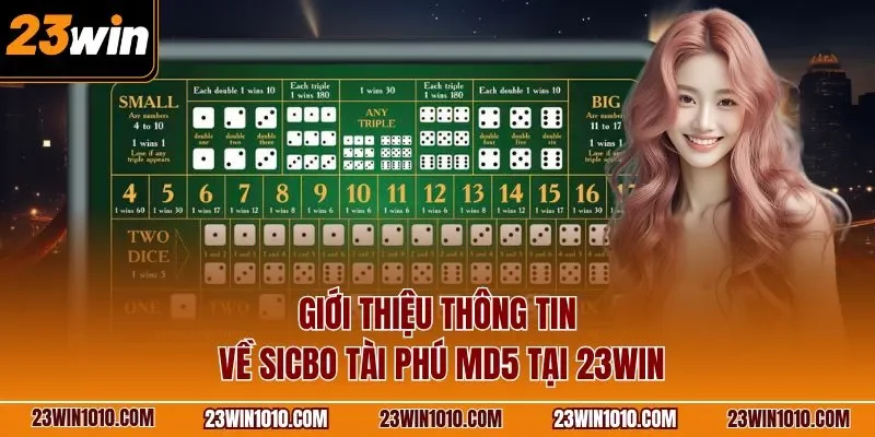 Giới thiệu thông tin về Sicbo tài phú MD5 23WIN